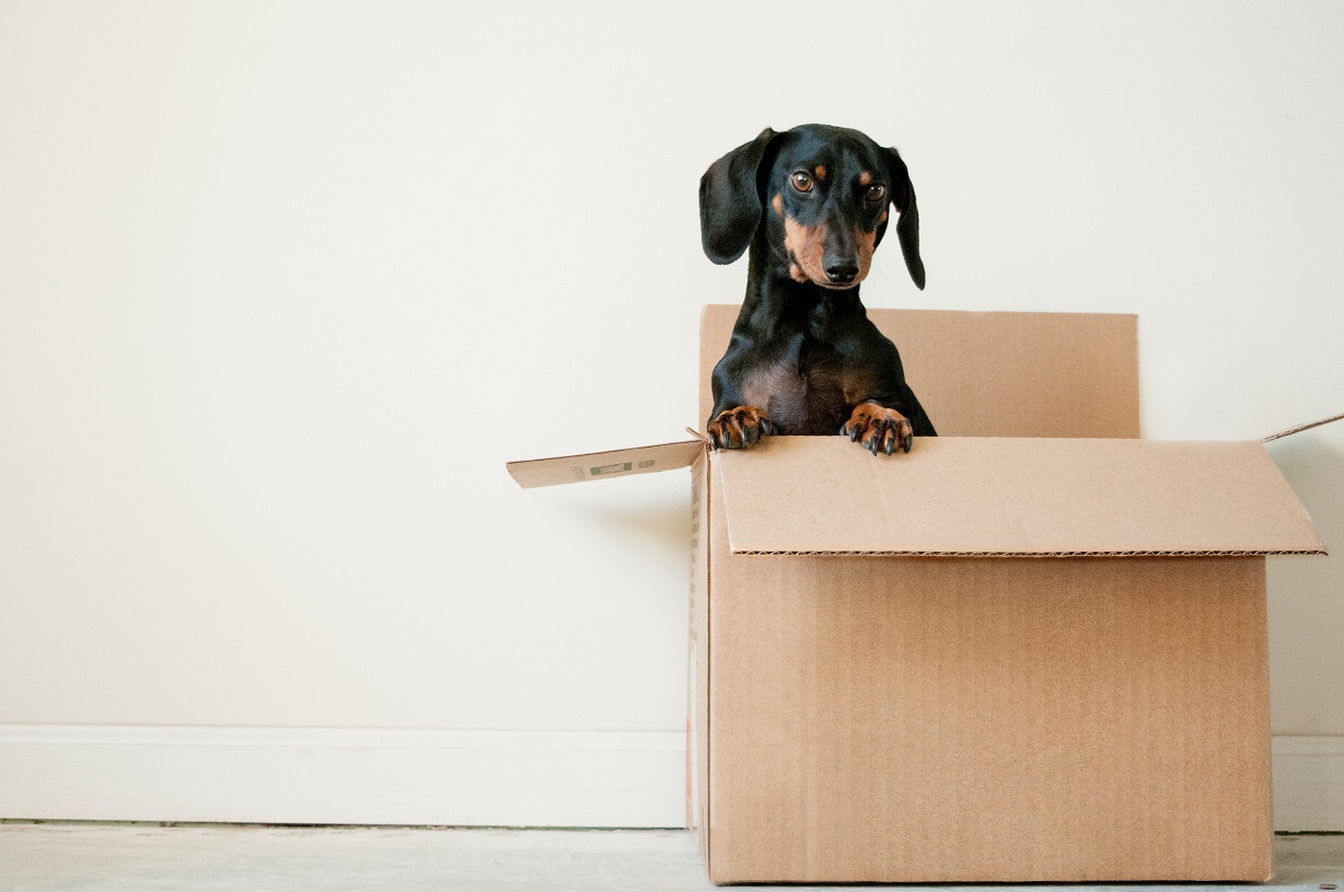 8 Packing Hacks You Need to Know about When Moving Home